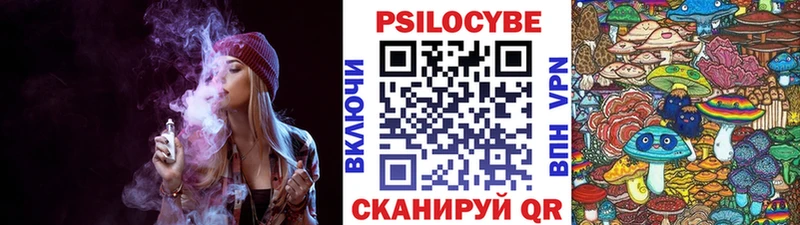 Галлюциногенные грибы Cubensis Тверь